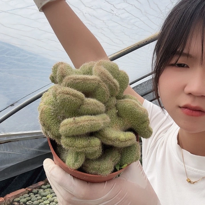 宝山缀化11111111111