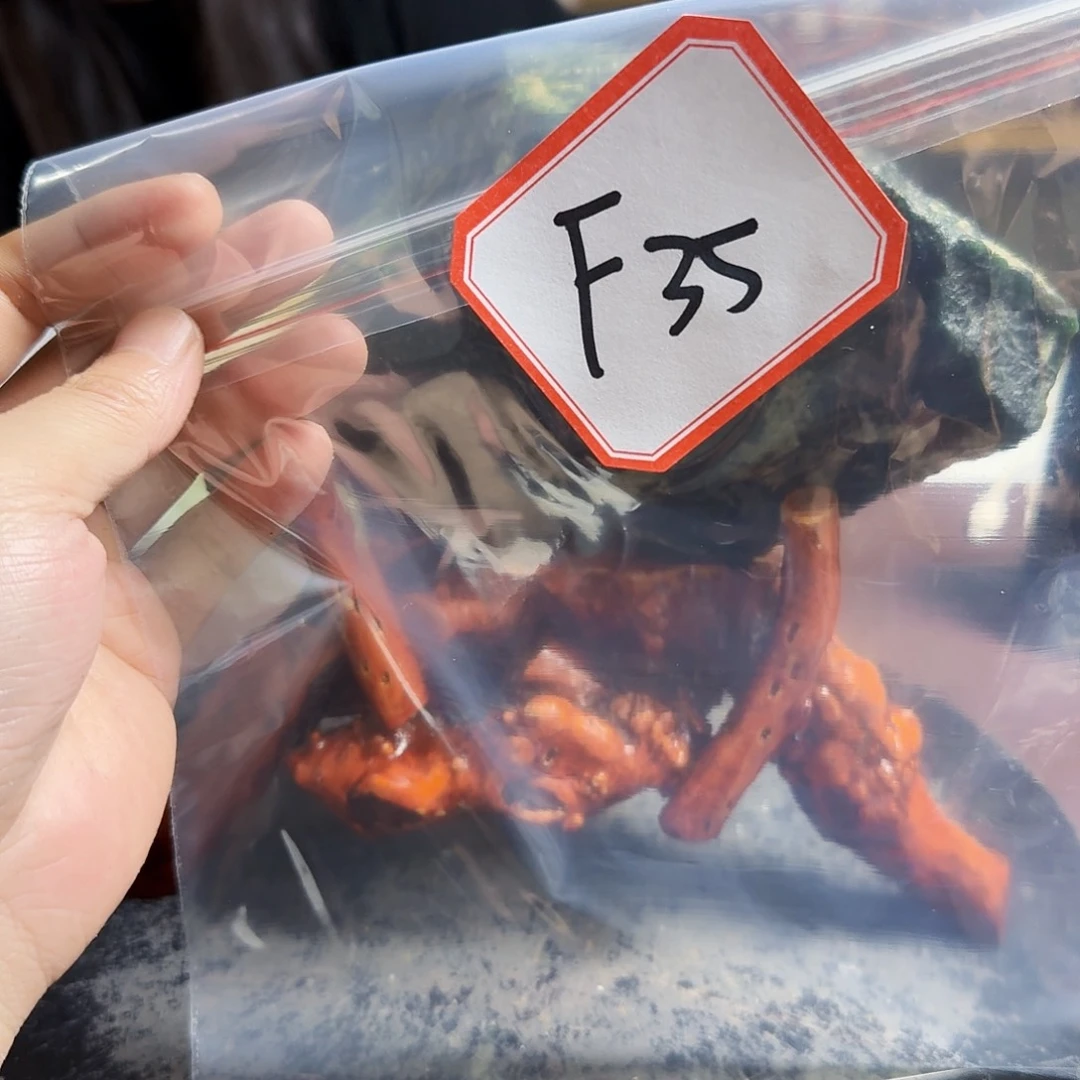 蛇纹石玉未镶嵌手镯酒***鱼