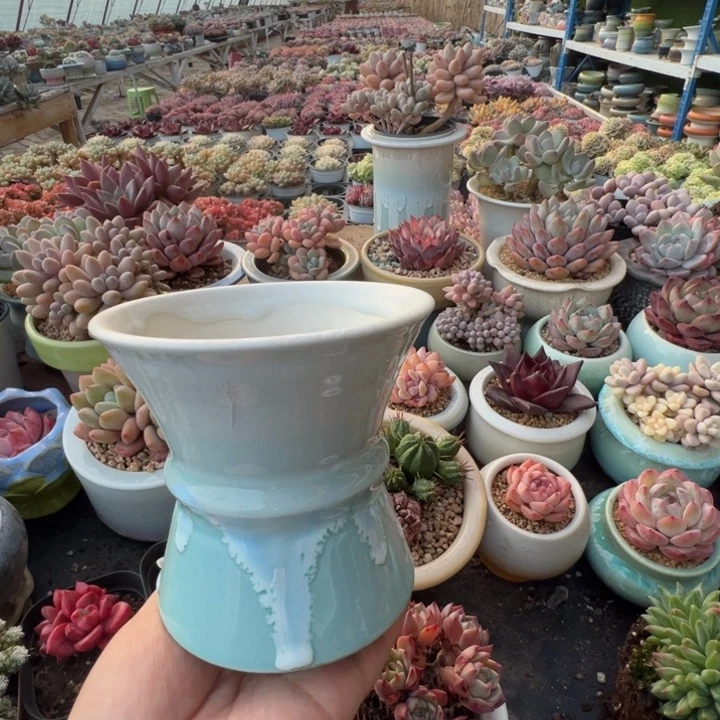 特价花盆满50发货 内口10