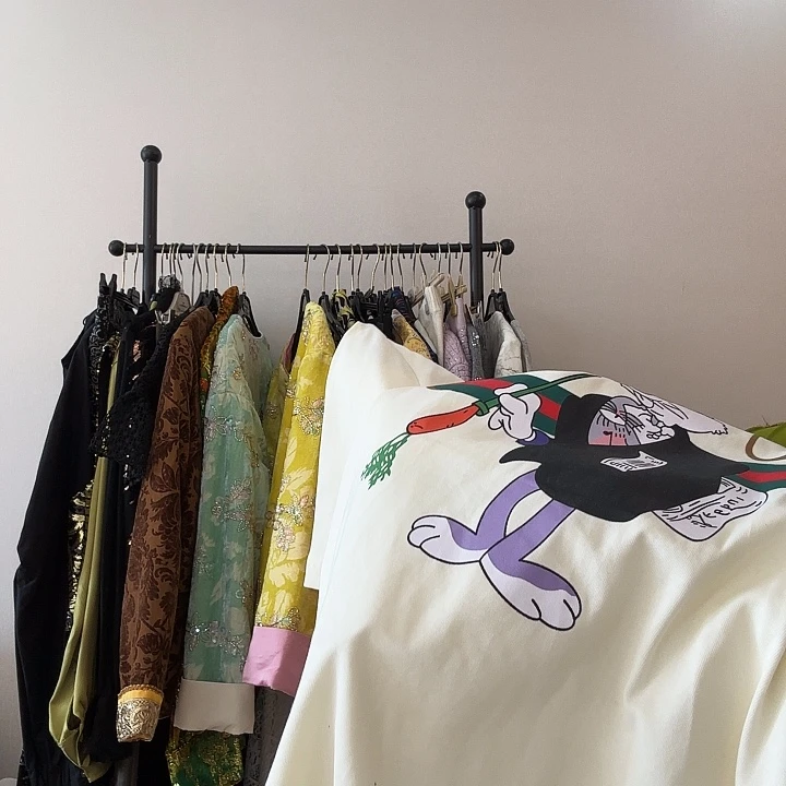 S 几个国会晶晶晶晶晶晶