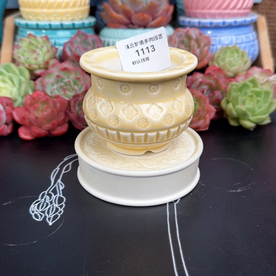 【闪购商品】1113 6口花盆