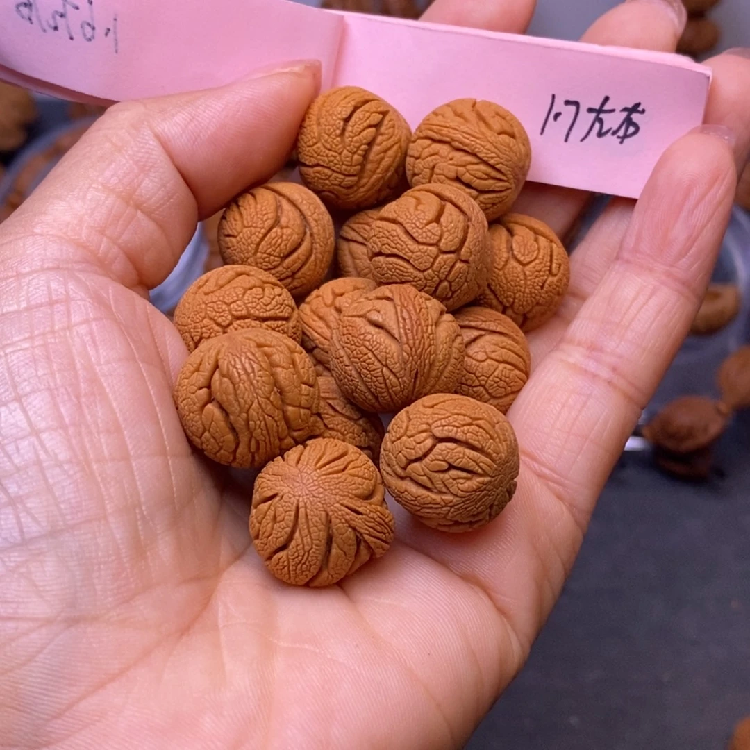 秦岭龙纹桃核15颗