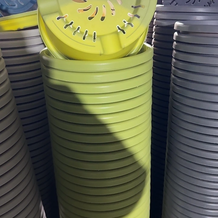 四季5号10个果绿色的