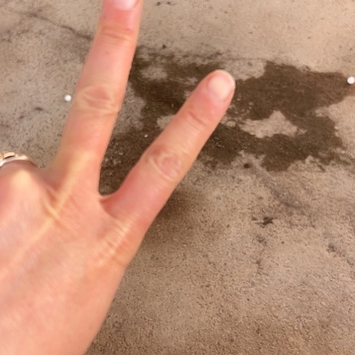 自家土2包多肉植物