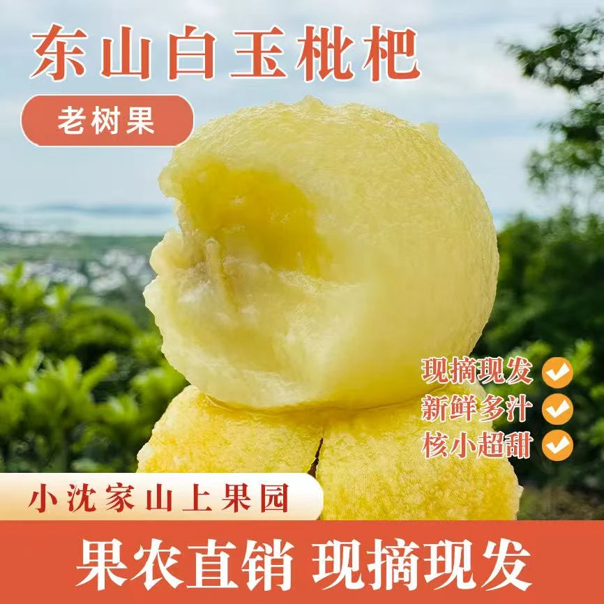 〖尝鲜东山白玉枇杷〗正宗苏州东山白玉枇杷礼盒现摘产地64颗/56颗