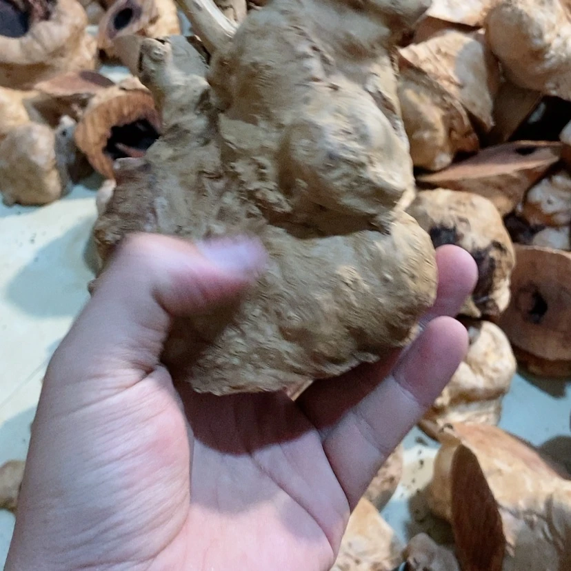 【闪购商品】荔枝木天****?荔枝木手工制作