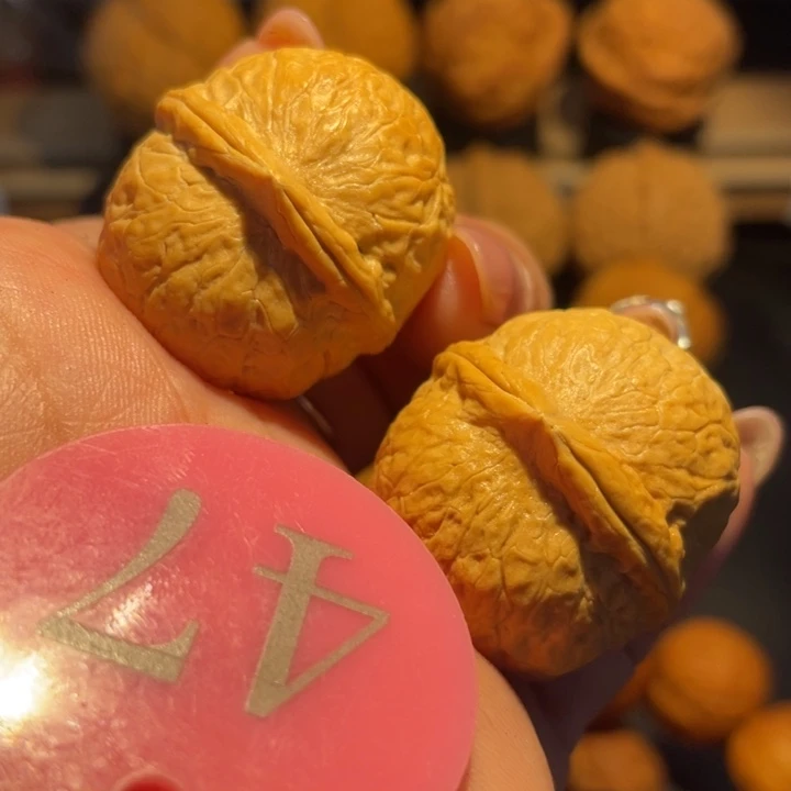 龙珠核桃核桃尺寸32