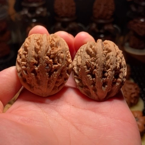 文玩核桃把件九龙筋有花不退不换