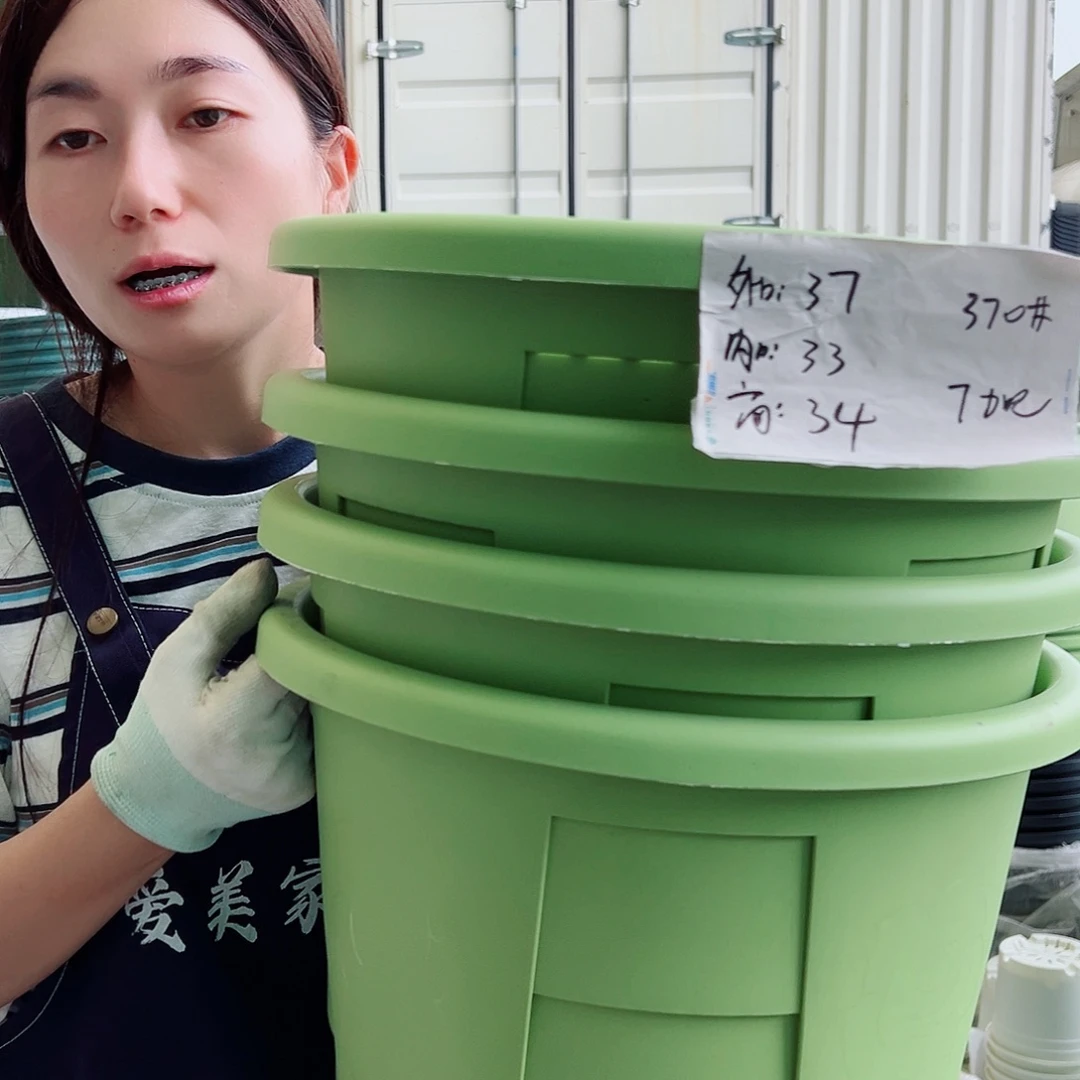 玫瑰盆370#果绿6个无托