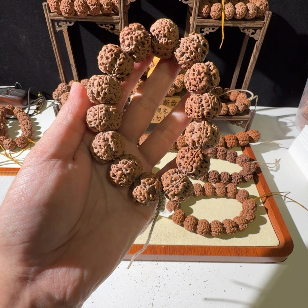 吊坠金刚菩提23尺寸红皮梅花超头