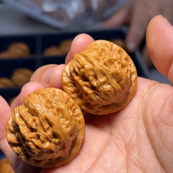 文玩核桃把件野元宝6471