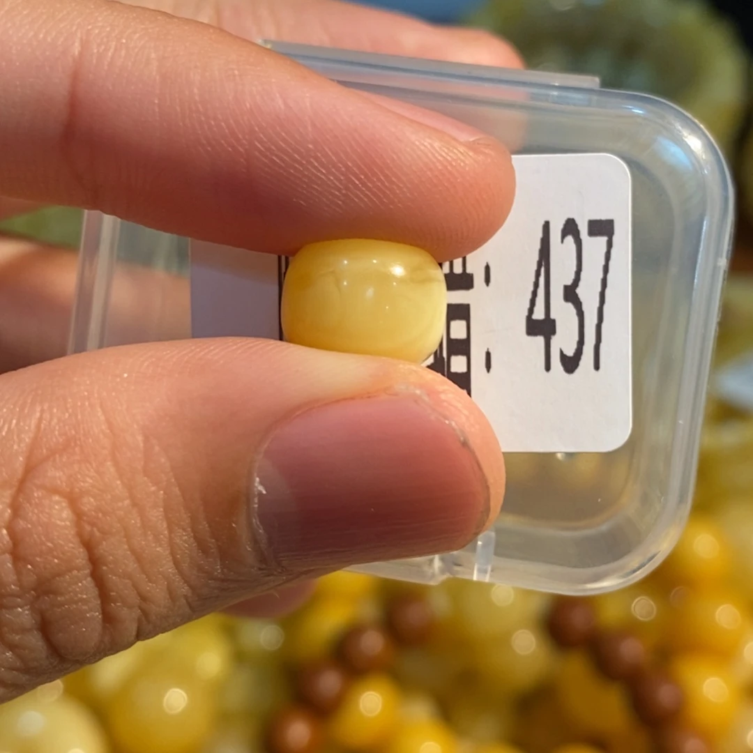 琥珀未镶嵌珠宝奇石437
