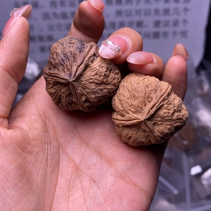 核桃云南野生铁核桃160号33mm