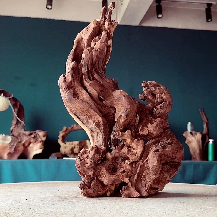 文***室木610 金丝红木羊蹄甲半成品