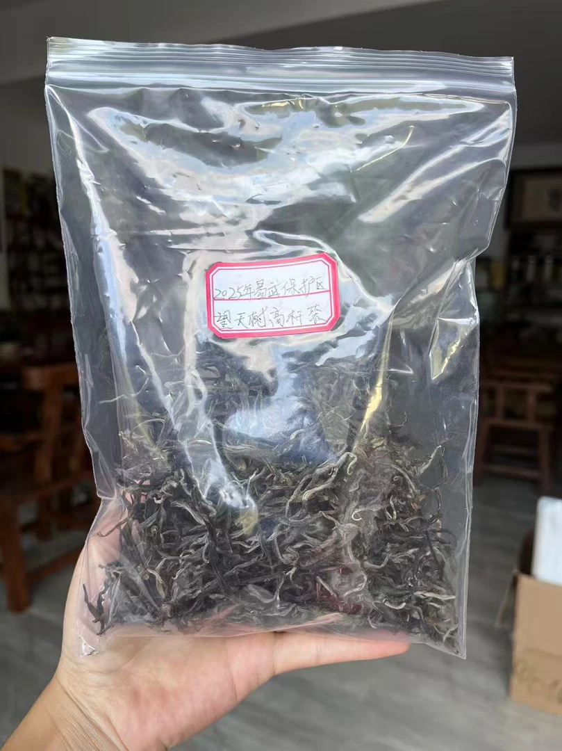 2025易武望天树高杆茶普洱生茶散茶