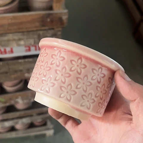 ····全是福利····14××