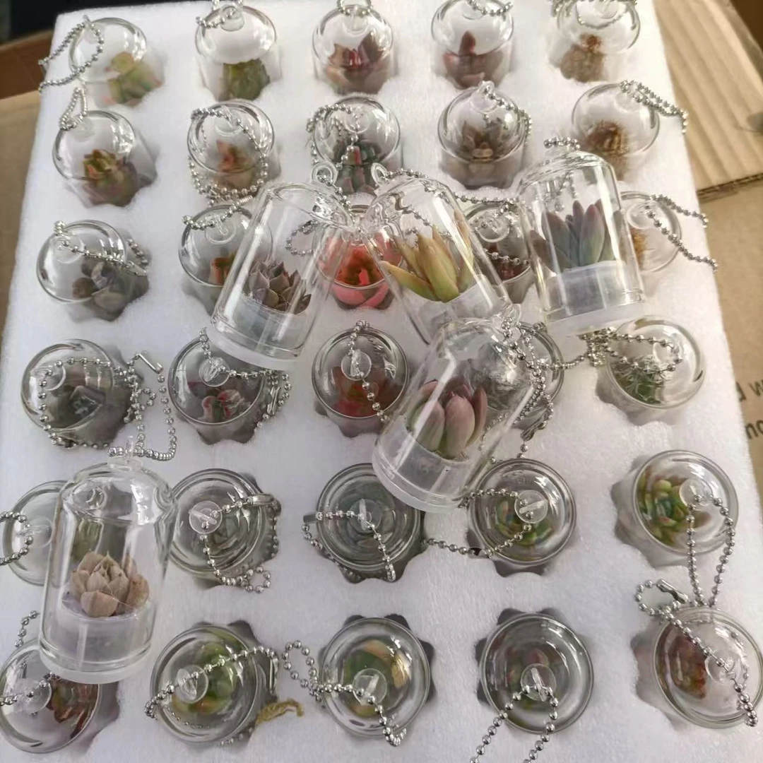 夜光发光可爱装饰创意小饰品网红学生户外幼儿园家用便携小龟多肉