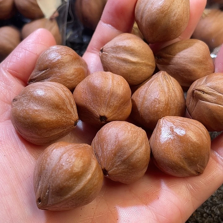 王***者吊坠橄榄核24✖️2.7