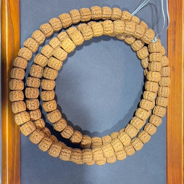 尺寸13.5~15mm左右金刚菩提藏式多圈一条015