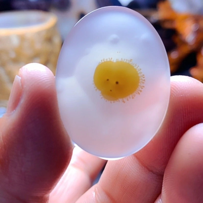 【闪购商品】玛瑙/玉髓颈饰未镶嵌