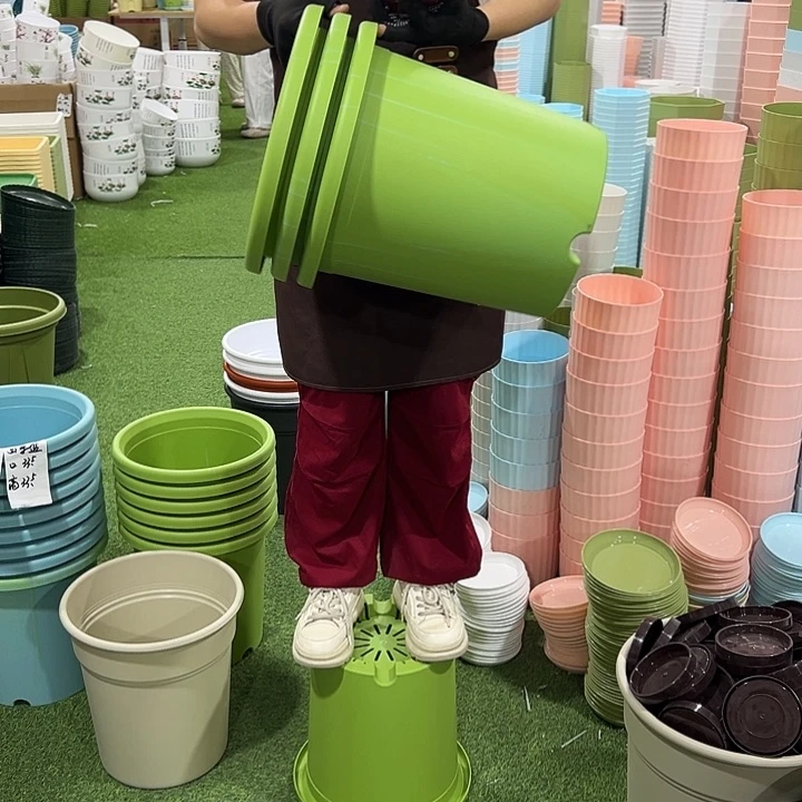 四季盆口33.5高33.5果绿色无托3只