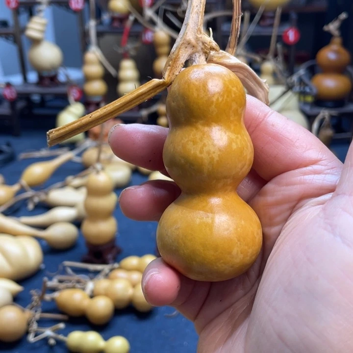 我的小可爱们都好可爱啊