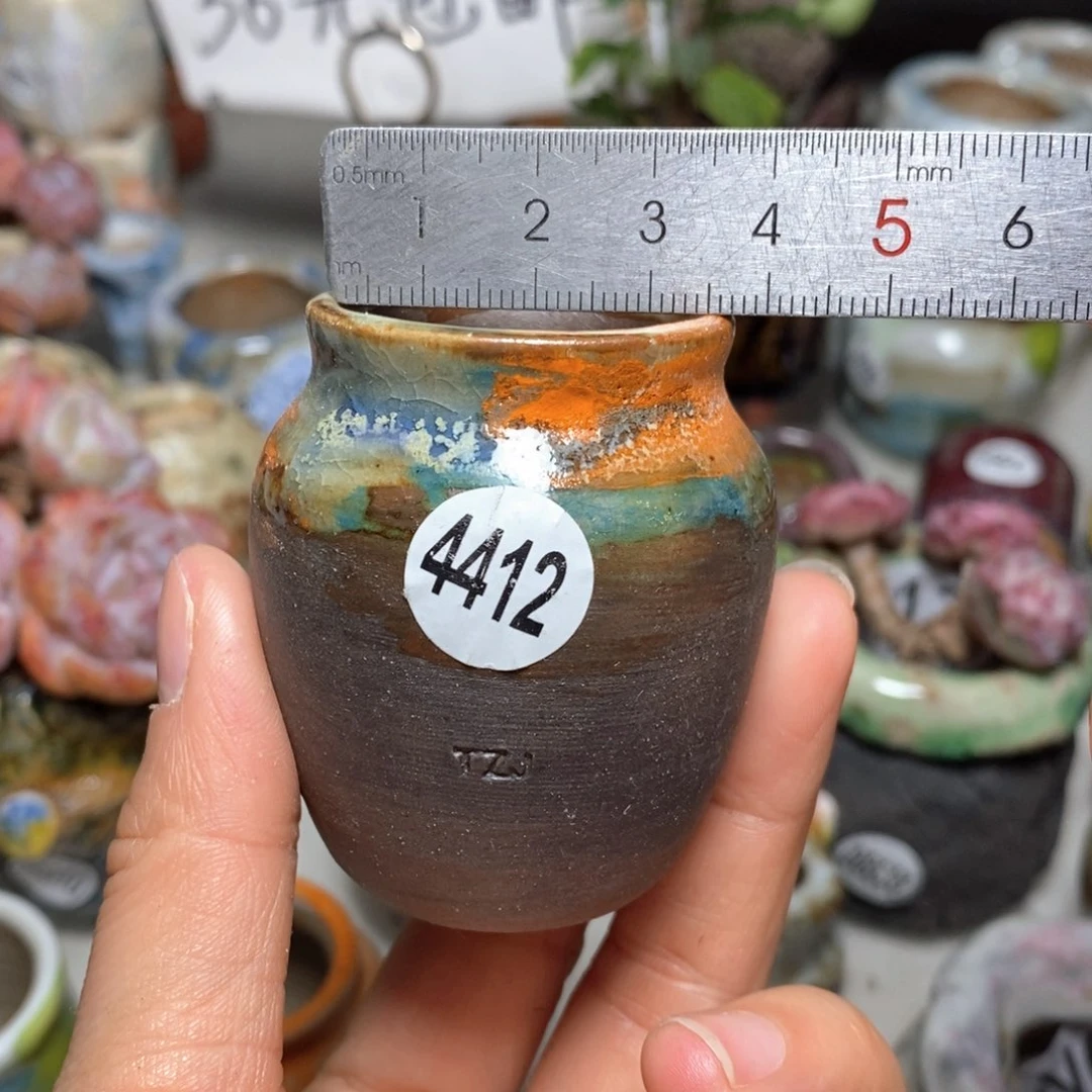 花盆拍5送一个小礼物