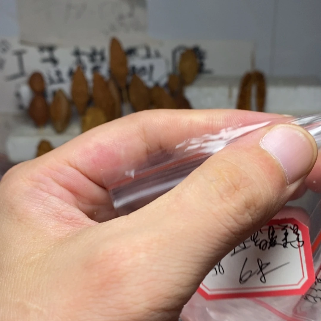 沿***景手串/手链橄榄核橄榄核