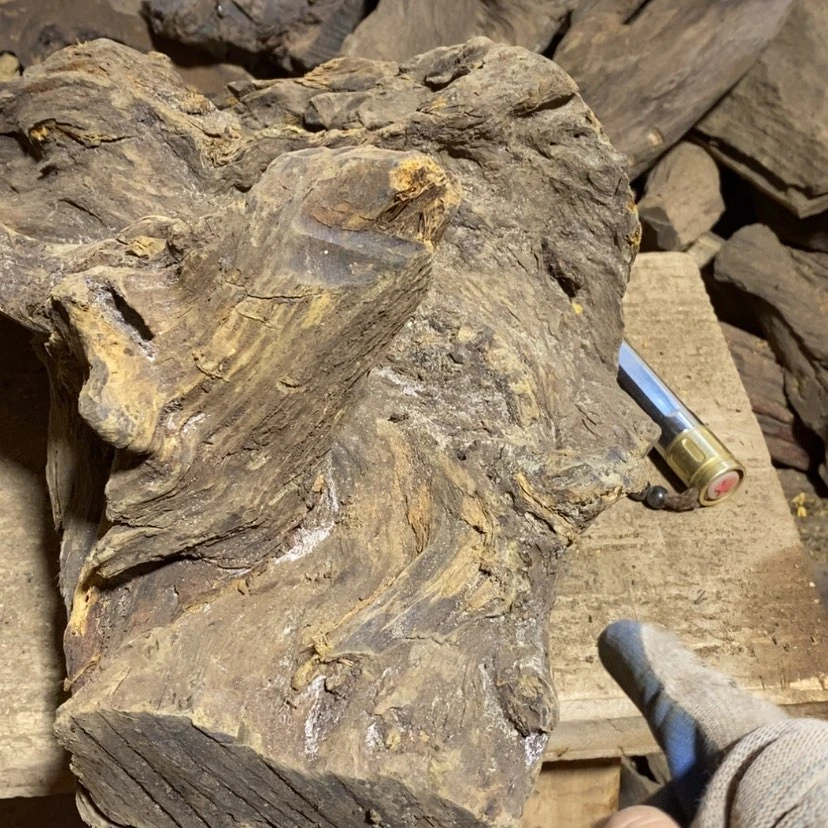 【闪购商品】贡木其他旭**辉定制123456789.098