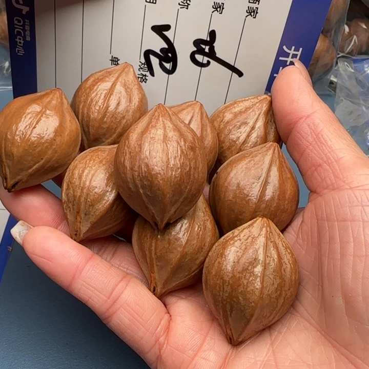 鱼***丸橄榄核手串橄榄核