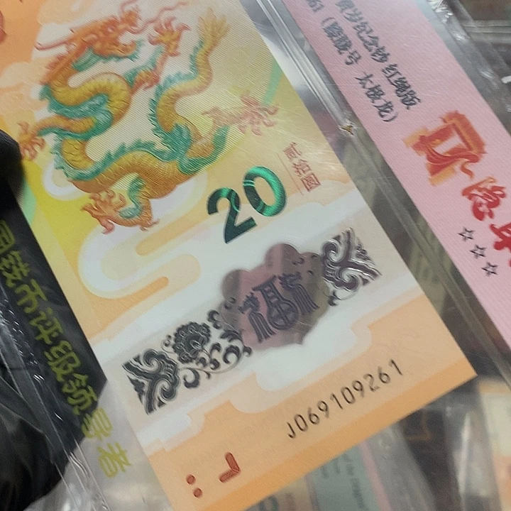 塑料069109261龙钞太极龙隐耳版朦胧号单张