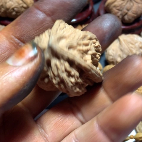 核桃随**༅天然三棱一个