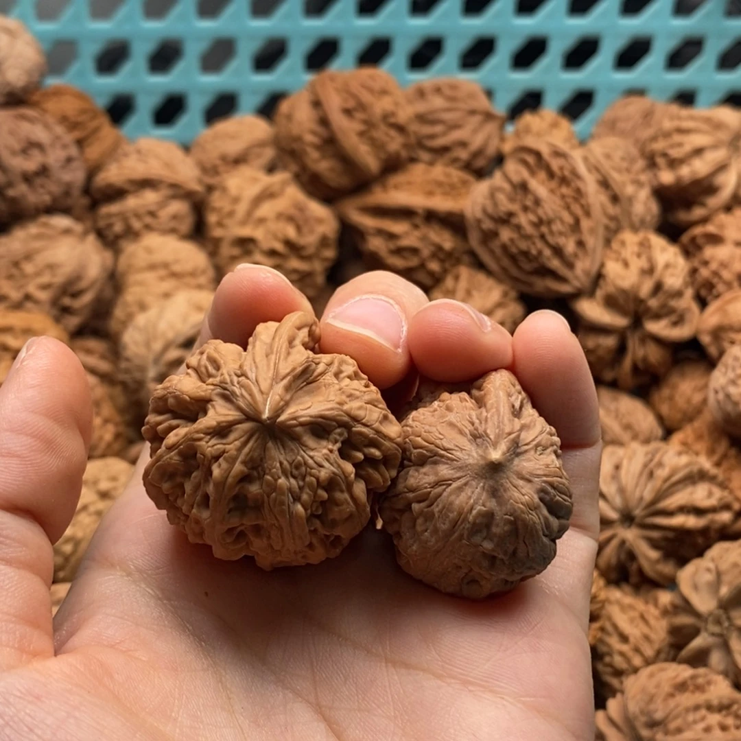 飞***觉核桃定制商品不退不换