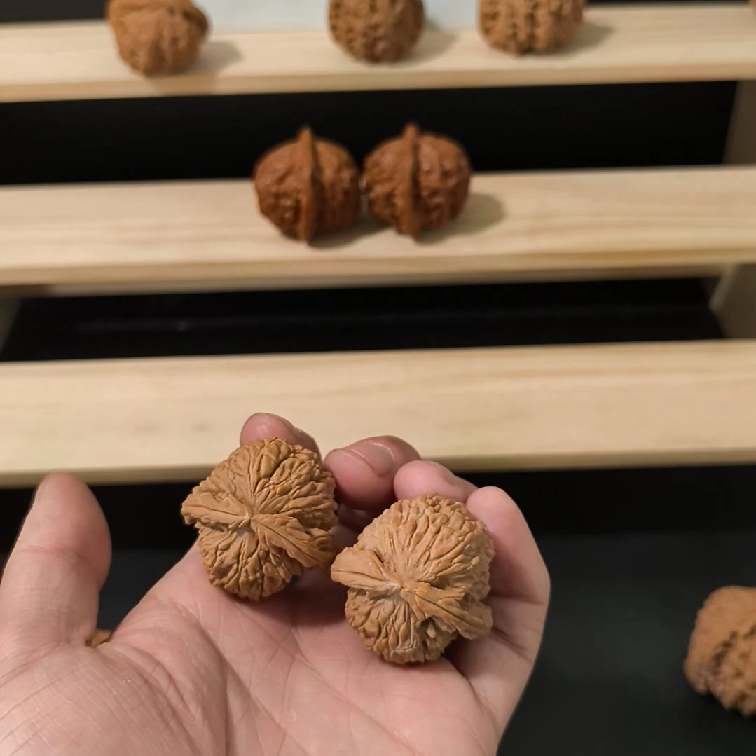 捌***老吊坠文玩核桃36+白狮子