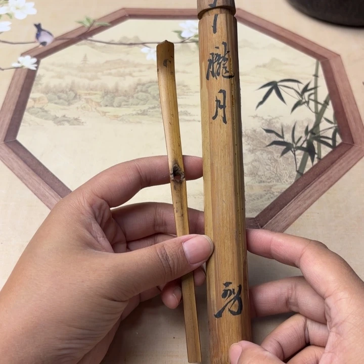 摆件1040今日好物分享
