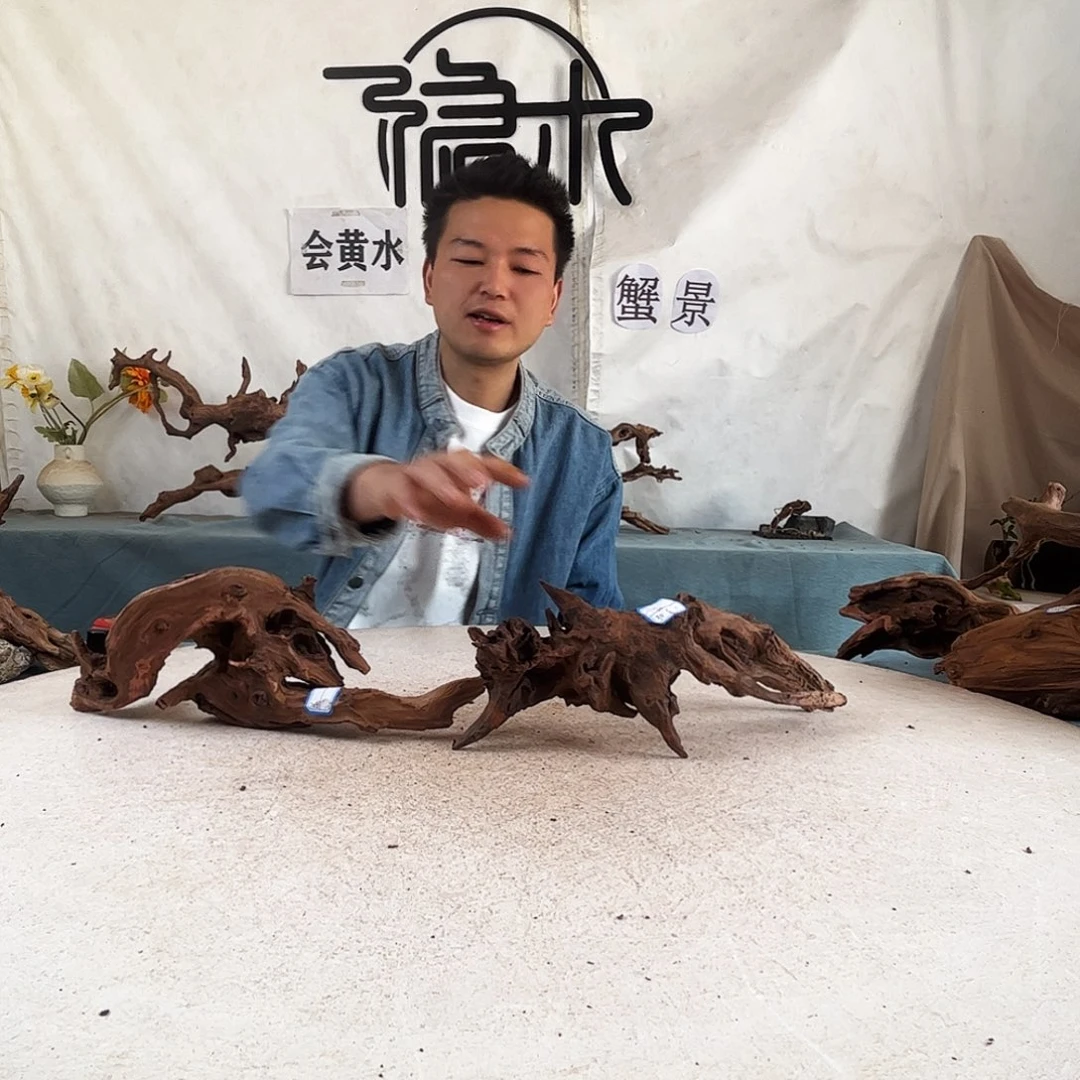 达*刘沉木造景爬出造景