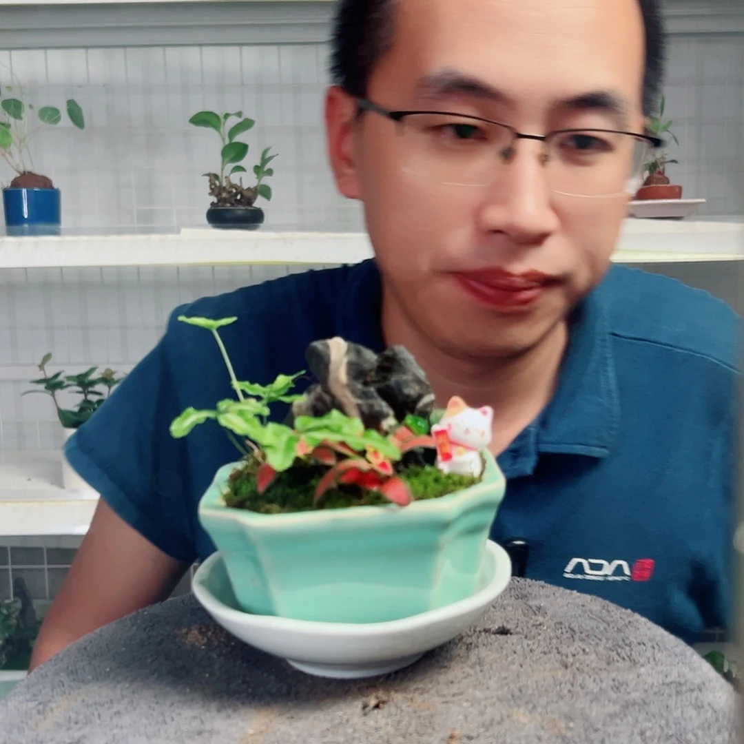 疯***彪无花朵8