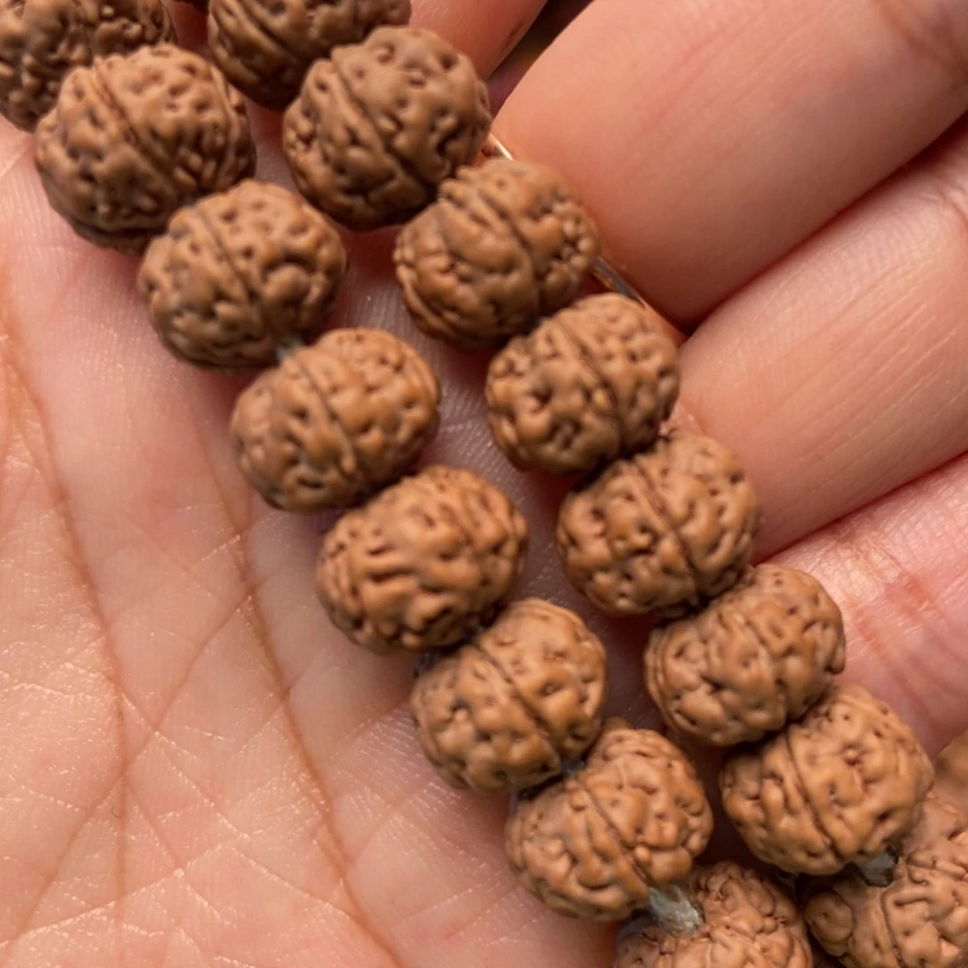 金刚菩提手串༊***纯血老树王手持11