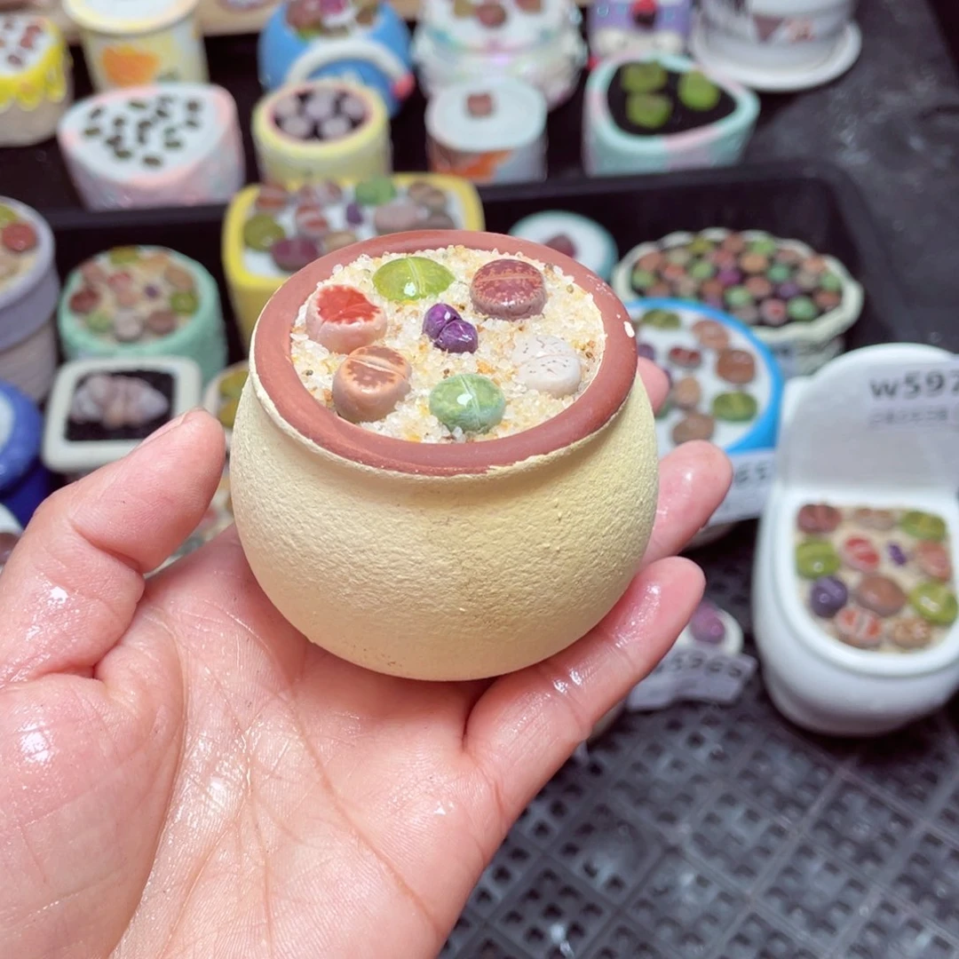 w5972 -零下地区拍保温箱-15支持寄养