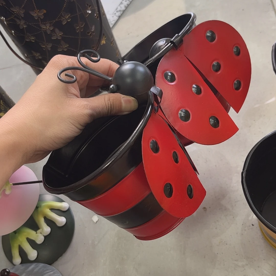 孤品给力哈哈哈哈