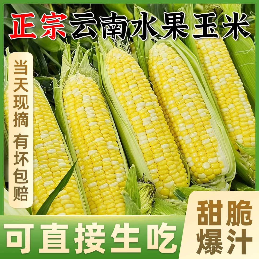 云南新鲜水果玉米甜脆可生吃口感香甜