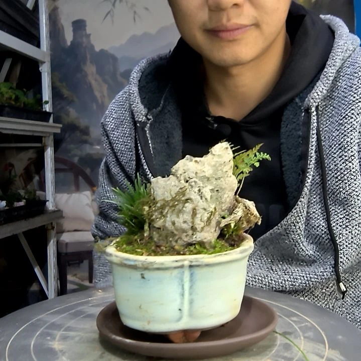 《****?中青园艺一物一拍276