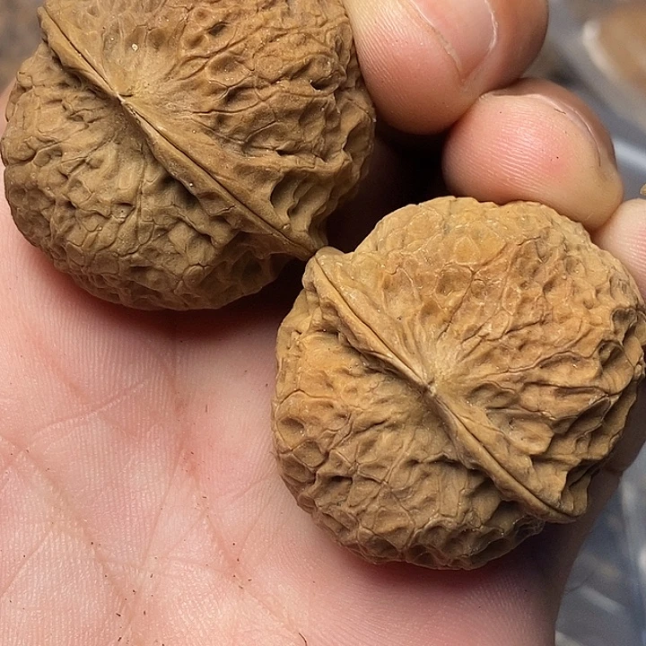 文玩核桃把件云南铁核桃68