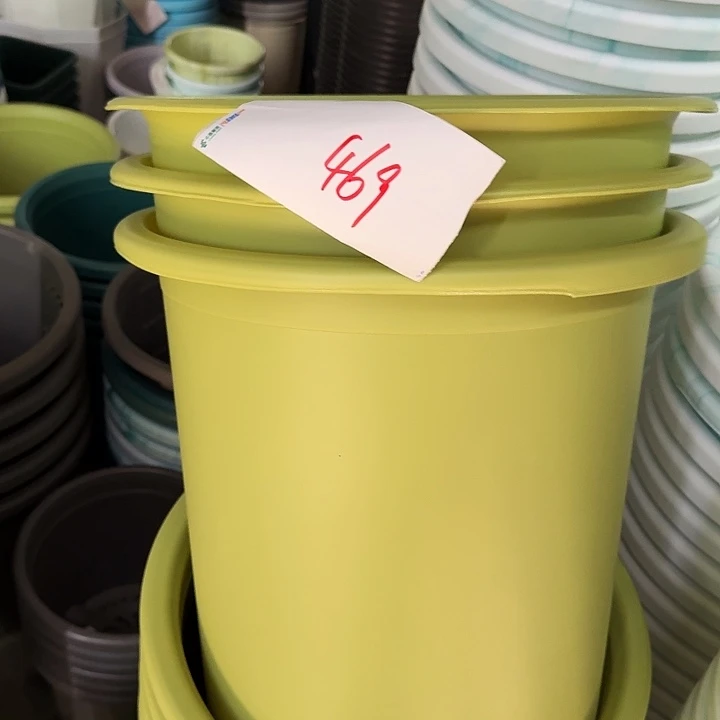 编号469瑕疵5个无托