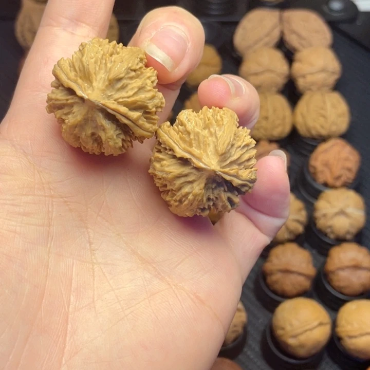 把件文玩核桃粗筋八棱