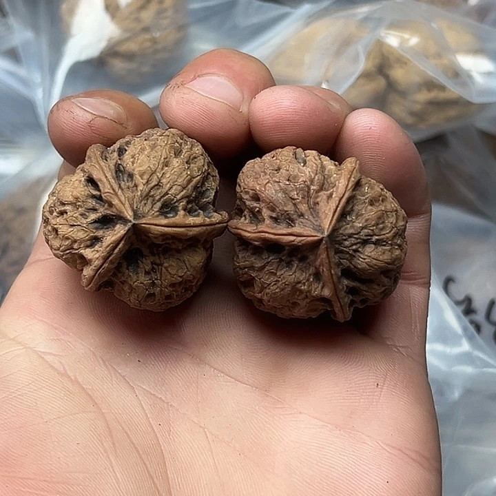 核桃40号曼巴三楞34尺