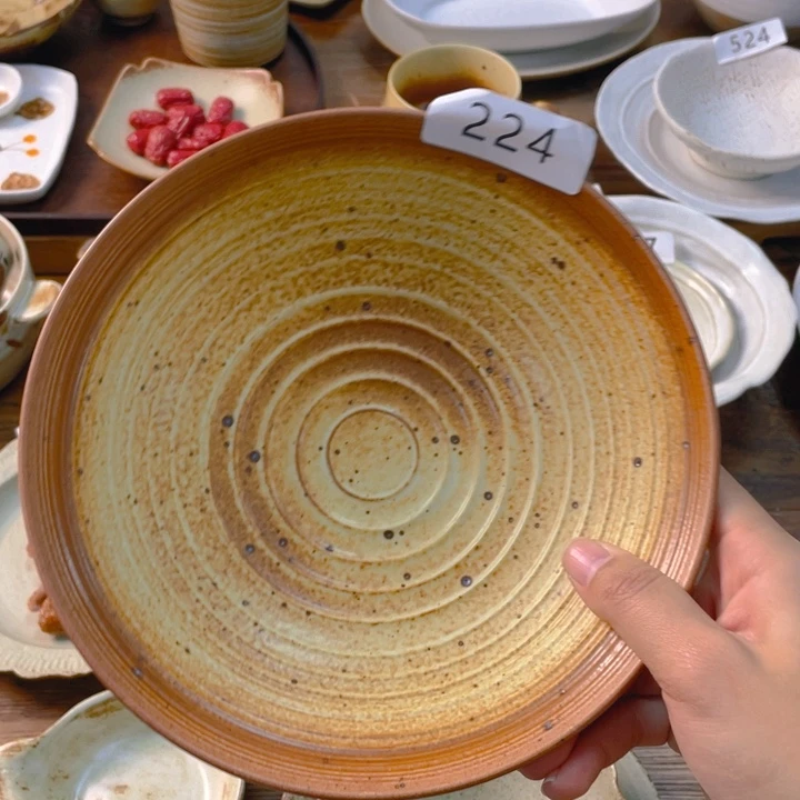 景德镇陶瓷学院等单位