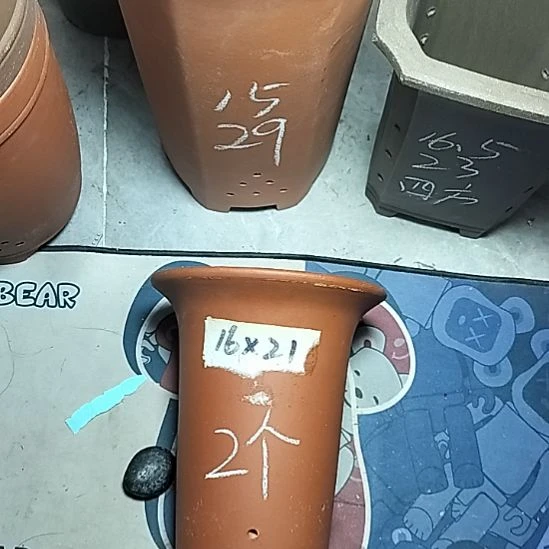 小红兰花两个微瑕