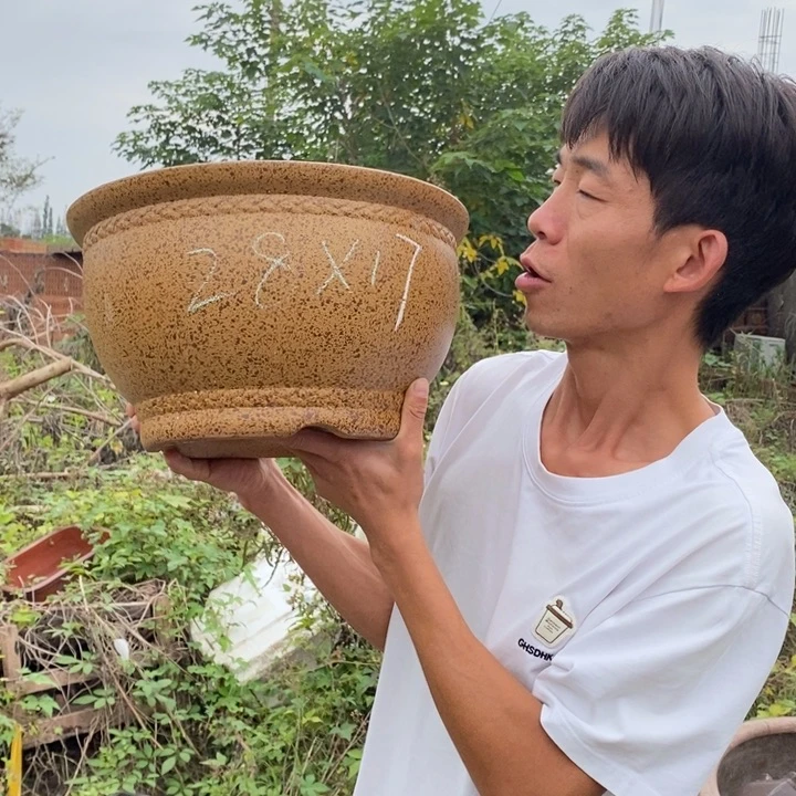 紫砂花盆紫砂艺术学院的学生会