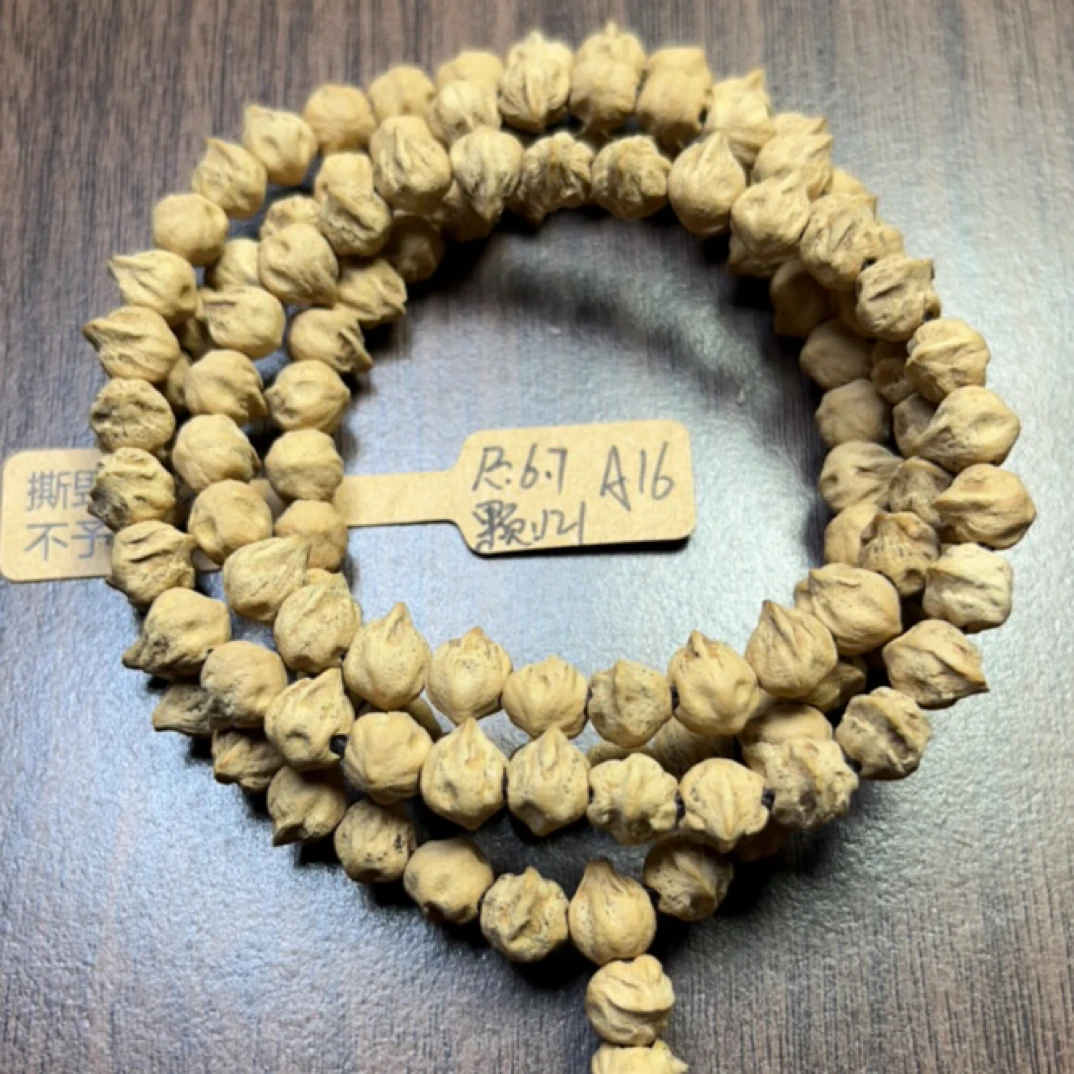 A16.横打小鸟，皮质粉嫩（很尖哦）